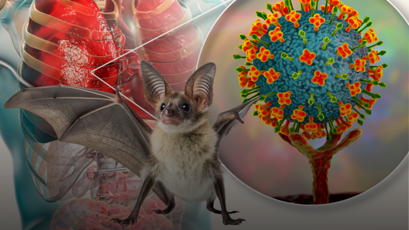 Alerta sanitaria global: virus Nipah desata preocupación tras cinco casos confirmados en India